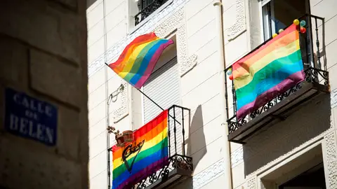Las celebraciones del Orgullo 2020 se llevarán a cabo de forma online por el coronavirus Las celebraciones del Orgullo 2020 se llevarán a cabo de forma online por el coronavirus