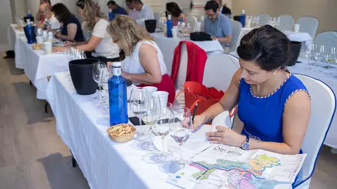 Nuevos reconocimientos de los vinos de Ribeiro Nuevos reconocimientos de los vinos de Ribeiro