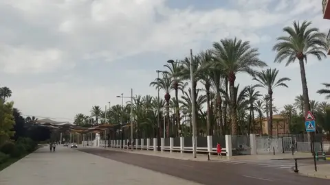 Paseo de la Estación de Elche. Paseo de la Estación de Elche.