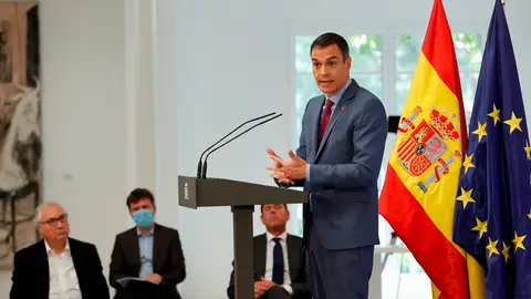 Pedro Sánchez durante la presentación del plan Pedro Sánchez durante la presentación del plan