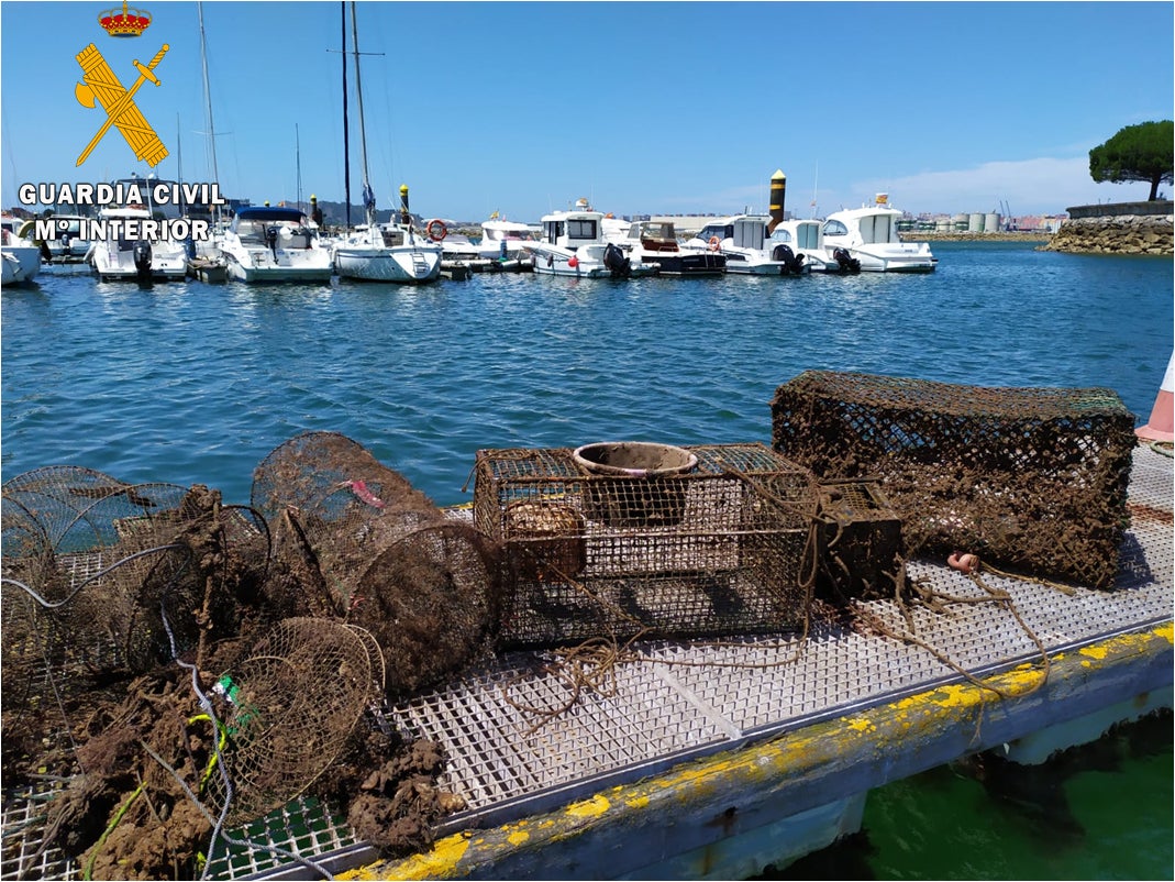 Desmantelado un nuevo vivero clandestino en Camargo Desmantelado un nuevo vivero clandestino en Camargo