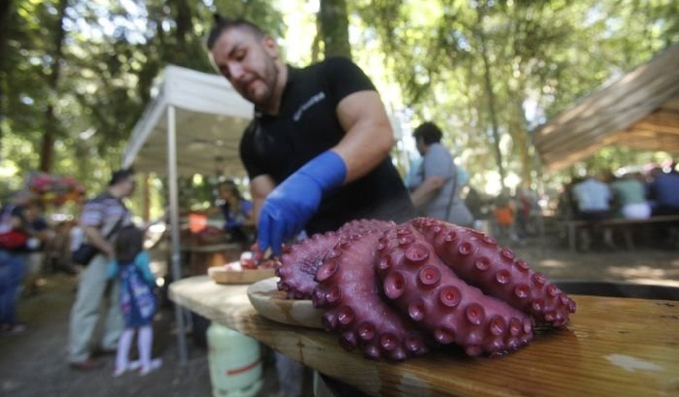 Nos vamos o Ribeiro e Carballiño, con viños e pulpo Nos vamos o Ribeiro e Carballiño, con viños e pulpo