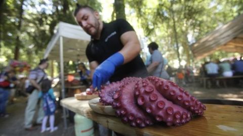 festa do pulpo do carballi&ntilde;o