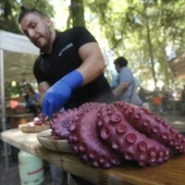 festa do pulpo do carballiño festa do pulpo do carballiño