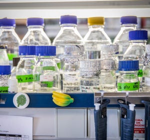 Queremos que la ciencia nos salve Demosle financiacion atencion y direccion Queremos que la ciencia nos salve Demosle financiacion atencion y direccion