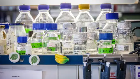 Queremos que la ciencia nos salve Demosle financiacion atencion y direccion Queremos que la ciencia nos salve Demosle financiacion atencion y direccion