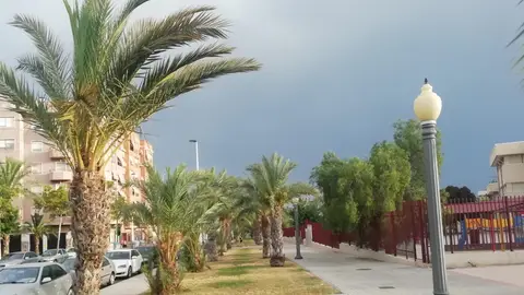 Avenida Cortes Valencianas de Elche. Avenida Cortes Valencianas de Elche.