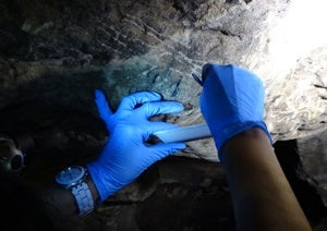 Los grabados de la Cueva de los Enebralejos Los grabados de la Cueva de los Enebralejos