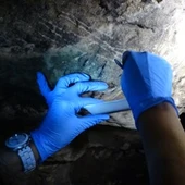 Arqueología Arqueología