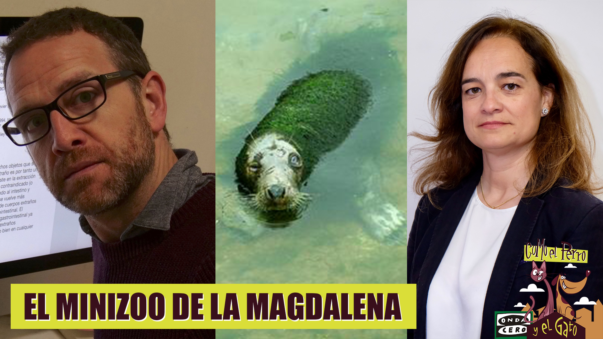 "El número de animales enfermos es muy elevado y la mayor parte son causa de la cautividad", David Perpiñán veterinario especialista en zoológicos "El número de animales enfermos es muy elevado y la mayor parte son causa de la cautividad", David Perpiñán veterinario especialista en zoológicos