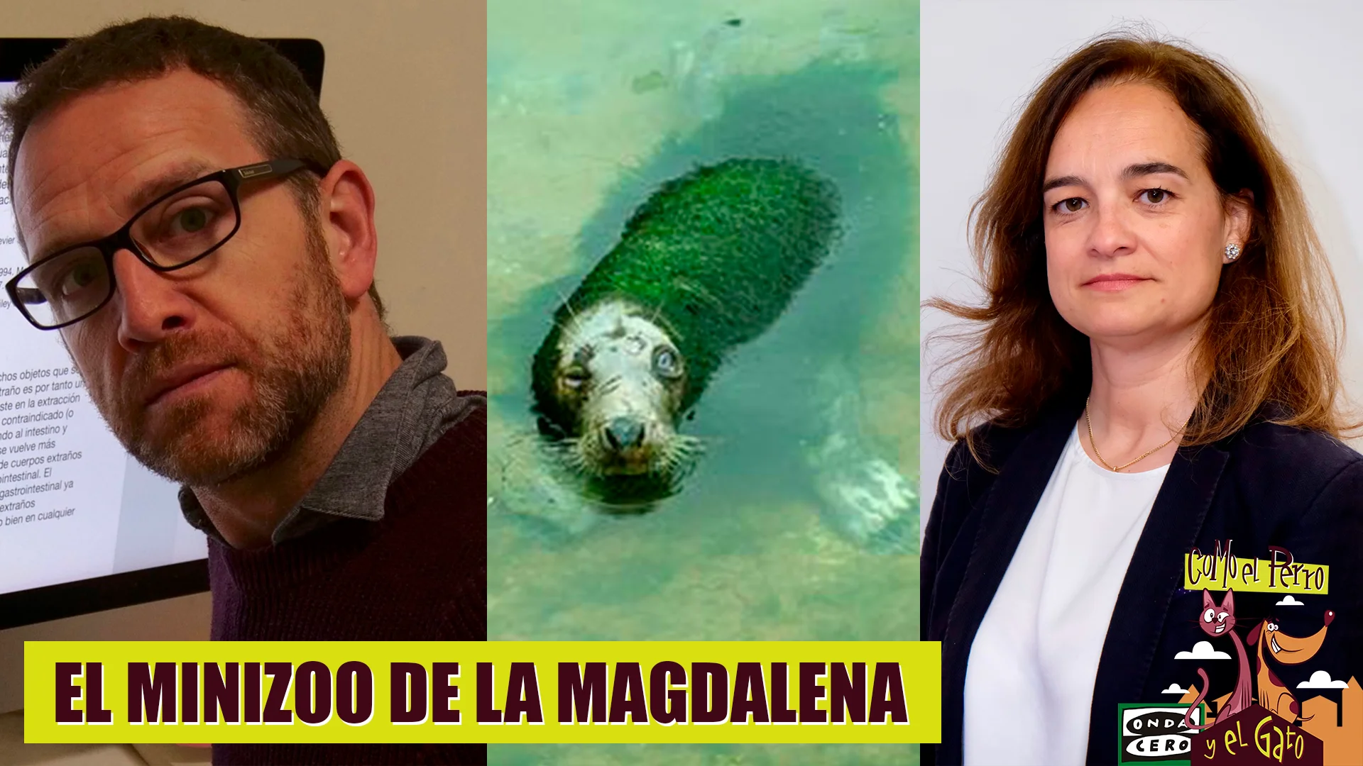 El minizoo del Palacio de la Magdalena
