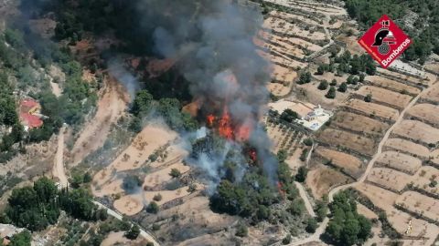 Incendio forestal en Mon&oacute;var.