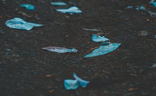 Uso responsable de mascarillas y guantes Uso responsable de mascarillas y guantes