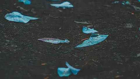 Uso responsable de mascarillas y guantes en buenas manos