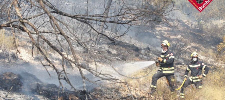 Todo apunta a una quema descontrolada como causa del fuego que ha calcinado 145 hectáreas en Monóvar Todo apunta a una quema descontrolada como causa del fuego que ha calcinado 145 hectáreas en Monóvar