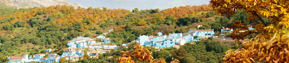 Natacha Rivas: “La gente ha mirado a los pueblos con la pandemia. Hemos aprendido a mirar al interior” Natacha Rivas: “La gente ha mirado a los pueblos con la pandemia. Hemos aprendido a mirar al interior”