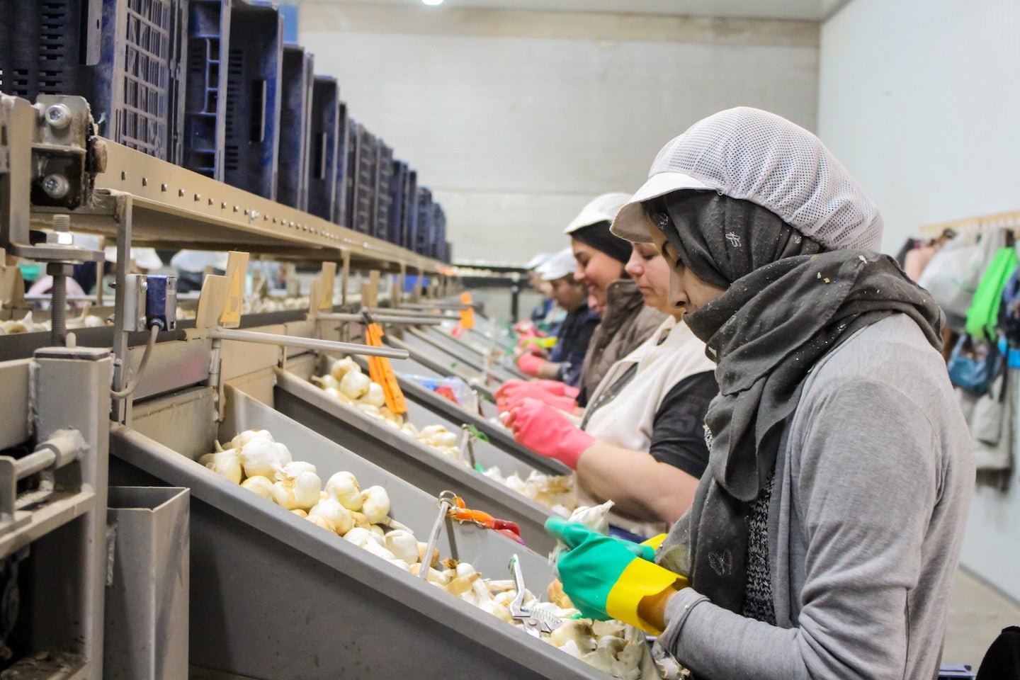 Cierra un almacén de ajos después de que 2 trabajadoras de Socuéllamos dieran positivo por Covid-19 Cierra un almacén de ajos después de que 2 trabajadoras de Socuéllamos dieran positivo por Covid-19