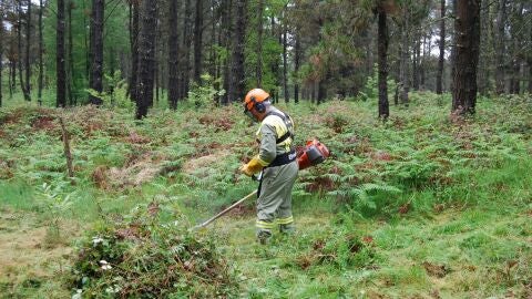 A Xunta colaborar&aacute; na limpeza de m&aacute;is de 15.000 parcelas 