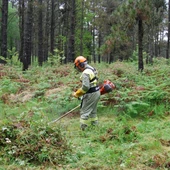 A Xunta colaborará na limpeza de máis de 15.000 parcelas A Xunta colaborará na limpeza de máis de 15.000 parcelas