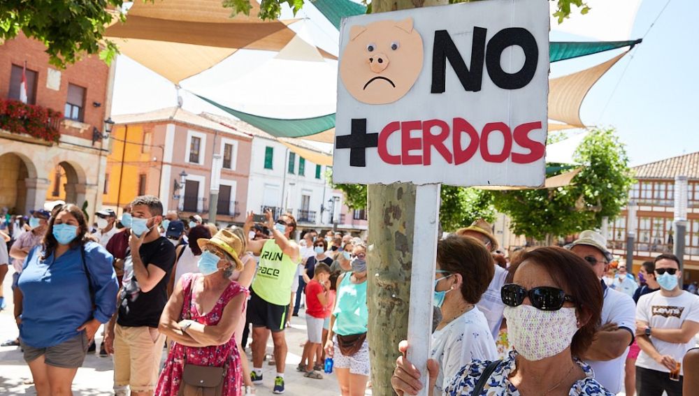 Más de 600 personas se concentran en Herrera contra las macrogranjas de cerdos