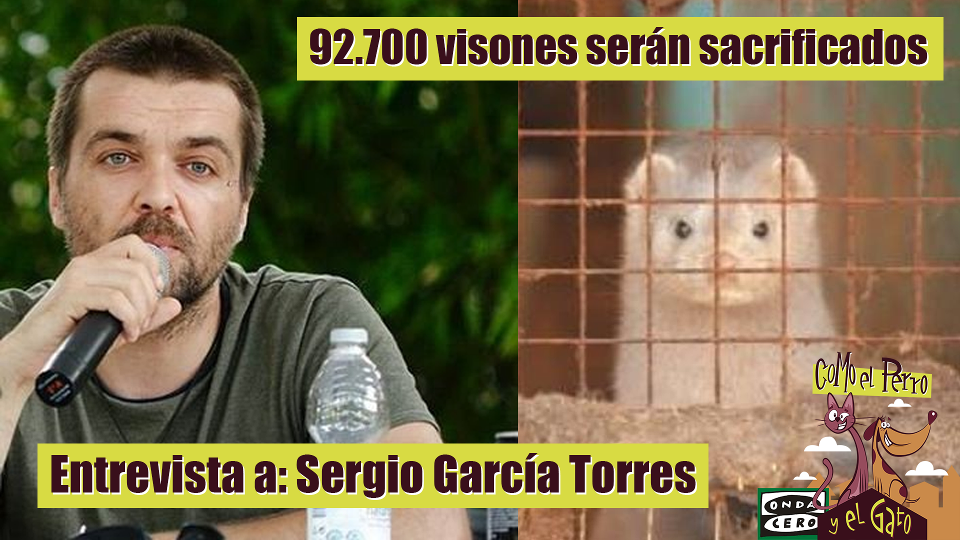 ¿Es posible que más de 90.000 animales vayan a morir por una mala gestión de la infección? ¿Es posible que más de 90.000 animales vayan a morir por una mala gestión de la infección?