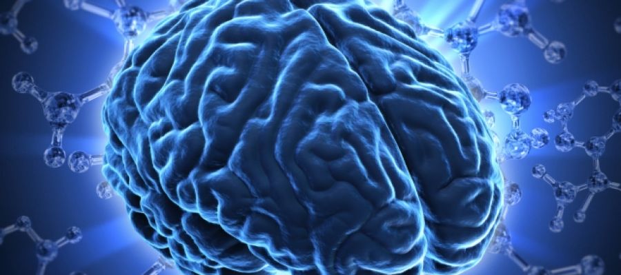 Día Mundial del Cerebro Día Mundial del Cerebro