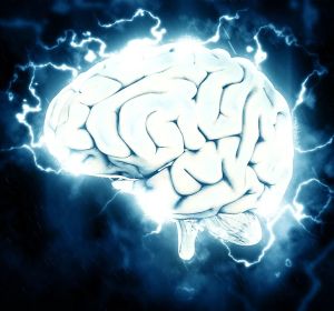 En el Día Mundial del Cerebro, conoce la enfermedad de Parkinson En el Día Mundial del Cerebro, conoce la enfermedad de Parkinson