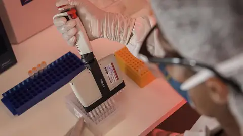 Prueba PCR del coronavirus Prueba PCR del coronavirus