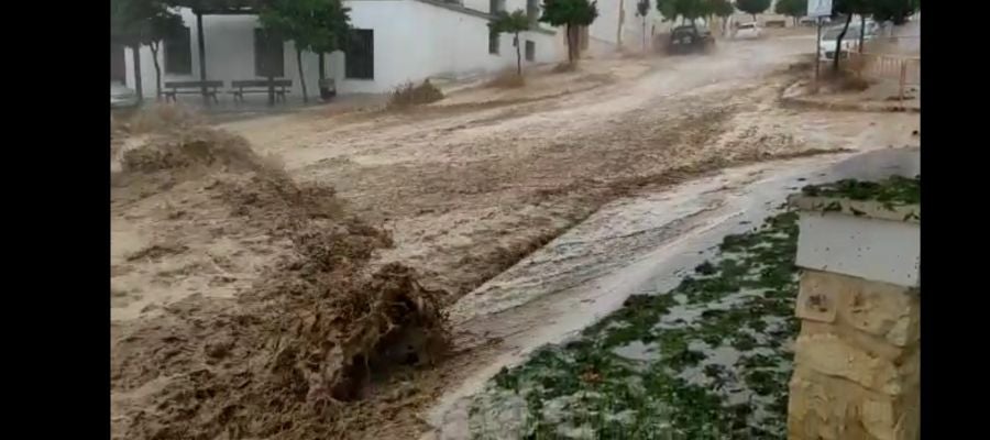 Imagen del temporal caído sobre Estepa Imagen del temporal caído sobre Estepa