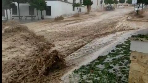 Imagen del temporal ca&iacute;do sobre Estepa