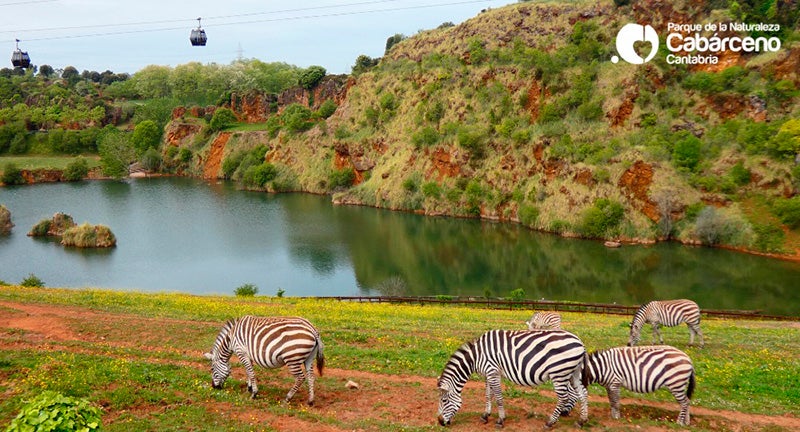 Más de uno Cantabria 12/08/2020 Más de uno Cantabria 12/08/2020