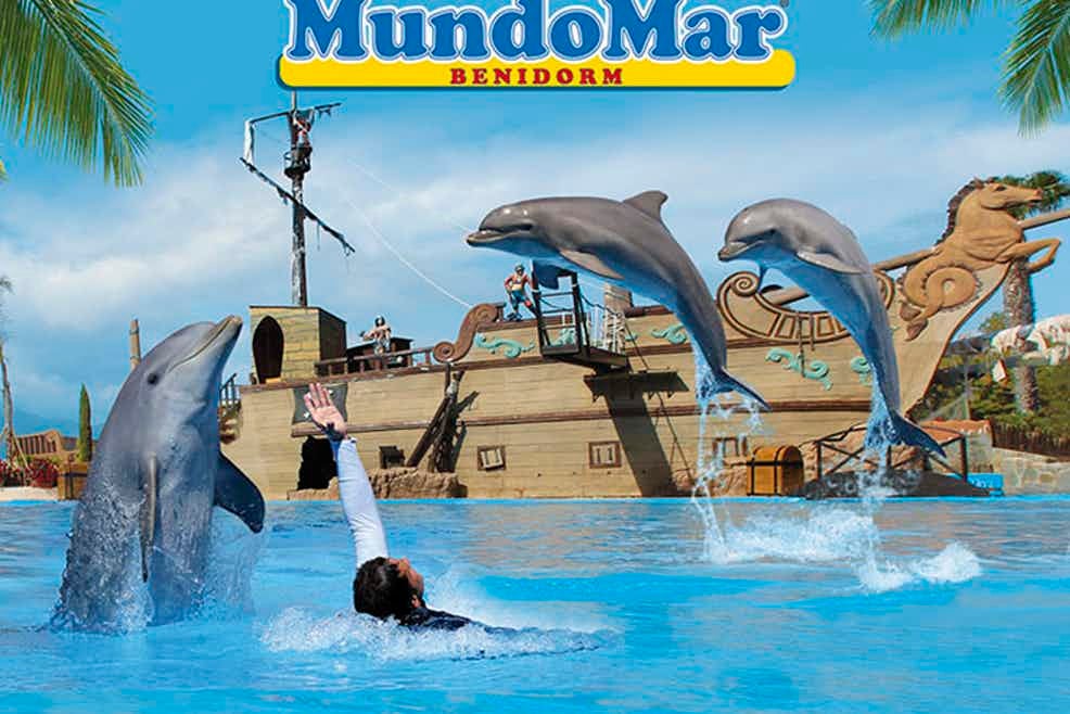 MUNDOMAR la mejor oferta de diversión basada en el respeto a los animales y la conservación de su entorno MUNDOMAR la mejor oferta de diversión basada en el respeto a los animales y la conservación de su entorno