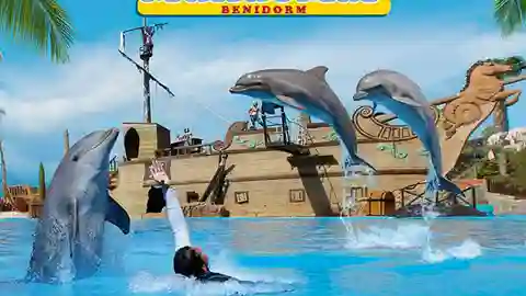 Delfinoterapia Delfinoterapia