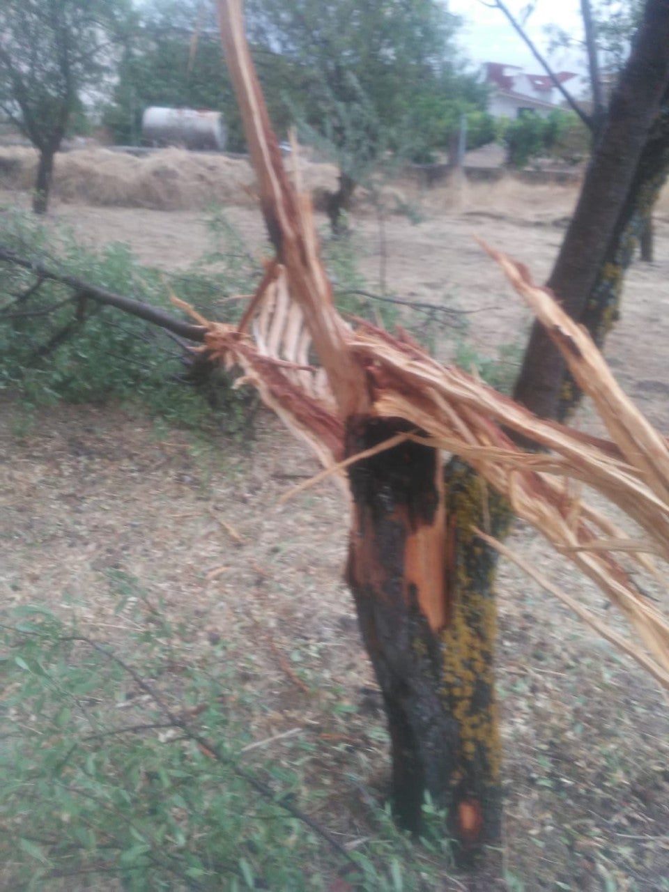 Tormentas de verano en Cuenca Tormentas de verano en Cuenca