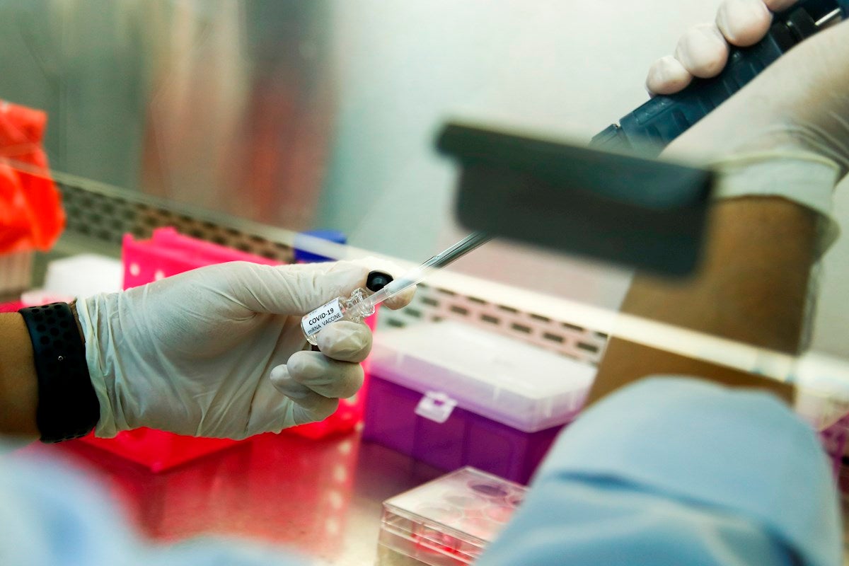 La Universitat Autònoma treballa per començar les proves de concepte d’una vacuna a finals d’anys La Universitat Autònoma treballa per començar les proves de concepte d’una vacuna a finals d’anys
