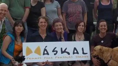 Askal Askal