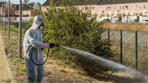 Un operario fumiga unos jardines en Cor&iacute;a del R&iacute;o para intentar detener al virus del Nilo