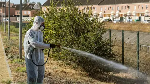 Un operario fumiga para intentar detener al virus del Nilo Un operario fumiga unos jardines en Coría del Río para intentar detener al virus del Nilo