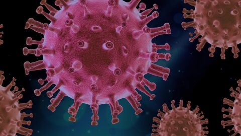 Coronavirus