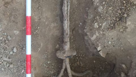 El descubrimiento ha sido en Zahara de la Sierra