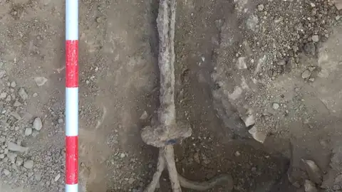 El descubrimiento ha sido en Zahara de la Sierra El descubrimiento ha sido en Zahara de la Sierra