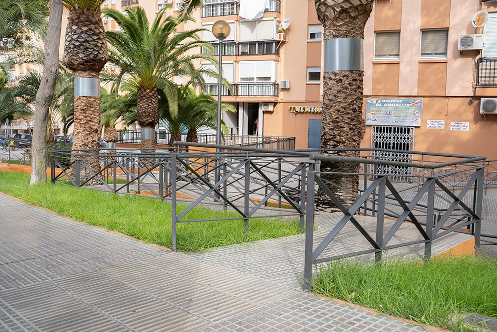 San Fernando impulsa su Mesa local de Accesibilidad San Fernando impulsa su Mesa local de Accesibilidad