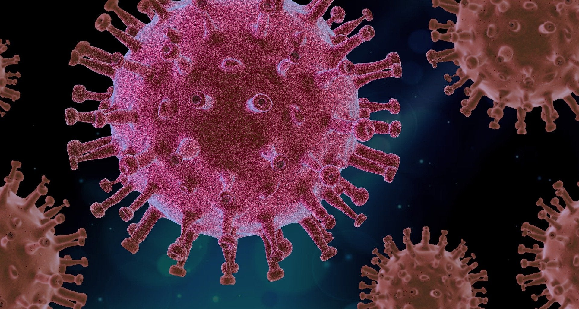 Descubren un nuevo gen oculto en el coronavirus Descubren un nuevo gen oculto en el coronavirus