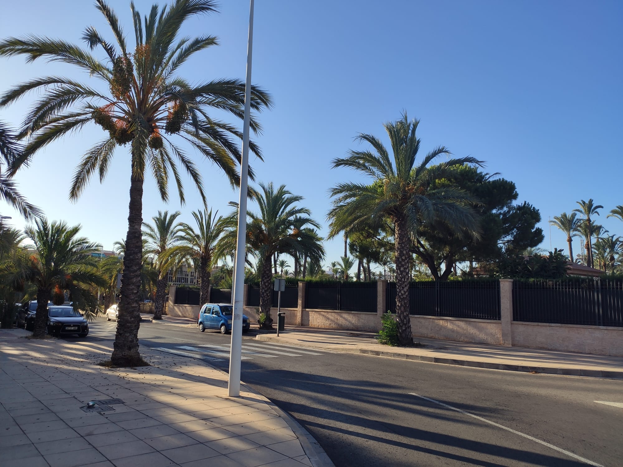 Previsión de nubes altas a partir del mediodía en Elche, Crevillent y Santa Pola Previsión de nubes altas a partir del mediodía en Elche, Crevillent y Santa Pola