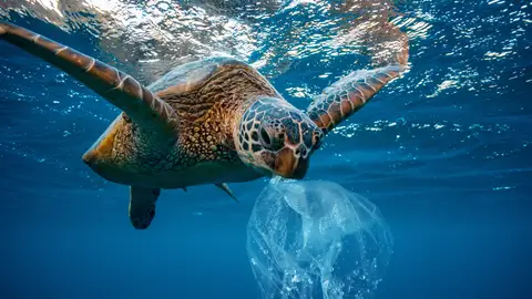 El oceano Atlantico tiene mas microplasticos que los que se creia El oceano Atlantico tiene mas microplasticos que los que se creia