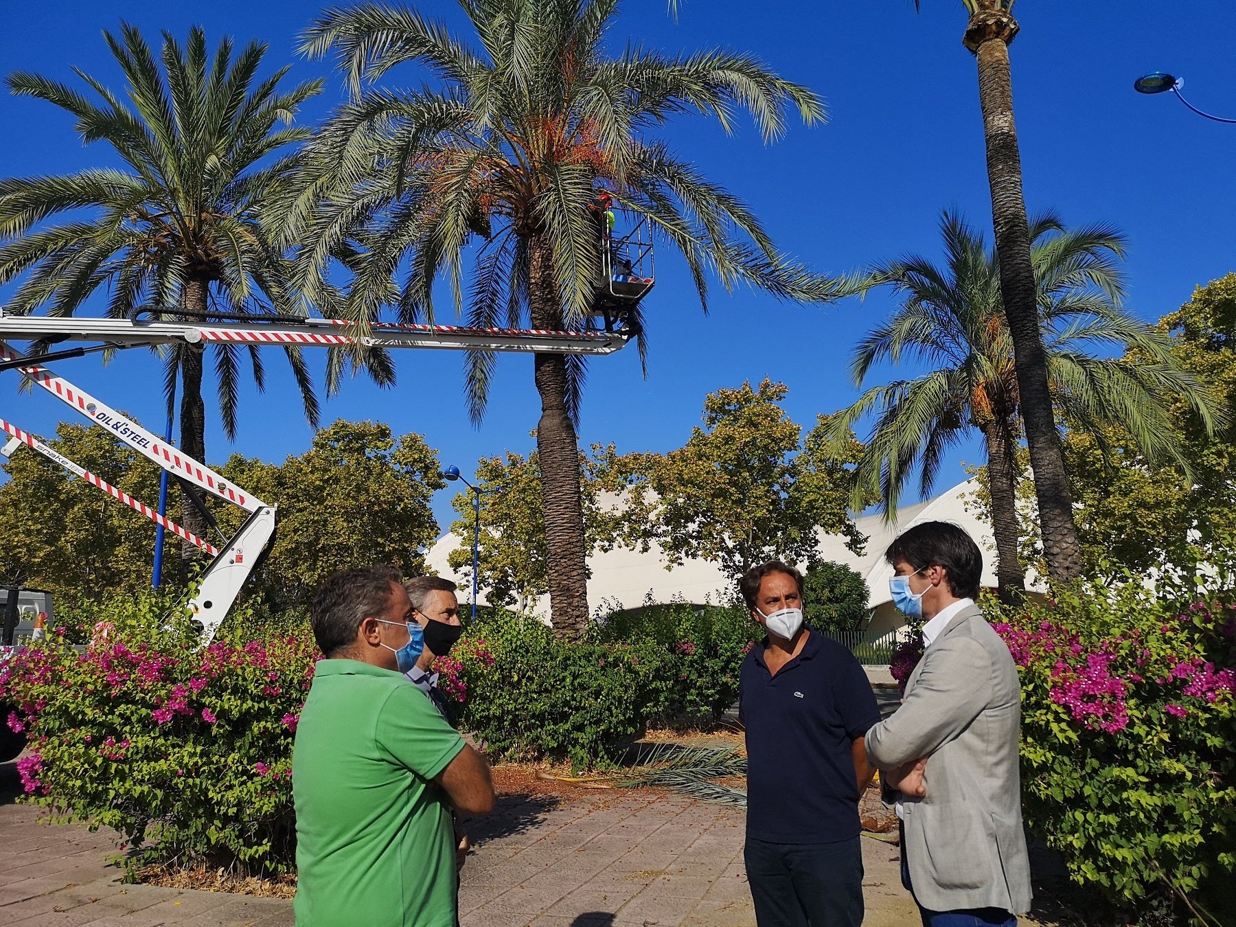 El Ayuntamiento de Sevilla adecenta el arbolado de la Avenida Marie Curie en la Cartuja El Ayuntamiento de Sevilla adecenta el arbolado de la Avenida Marie Curie en la Cartuja