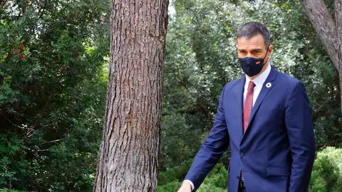 El presidente del Gobierno, Pedro Sánchez El presidente del Gobierno, Pedro Sánchez