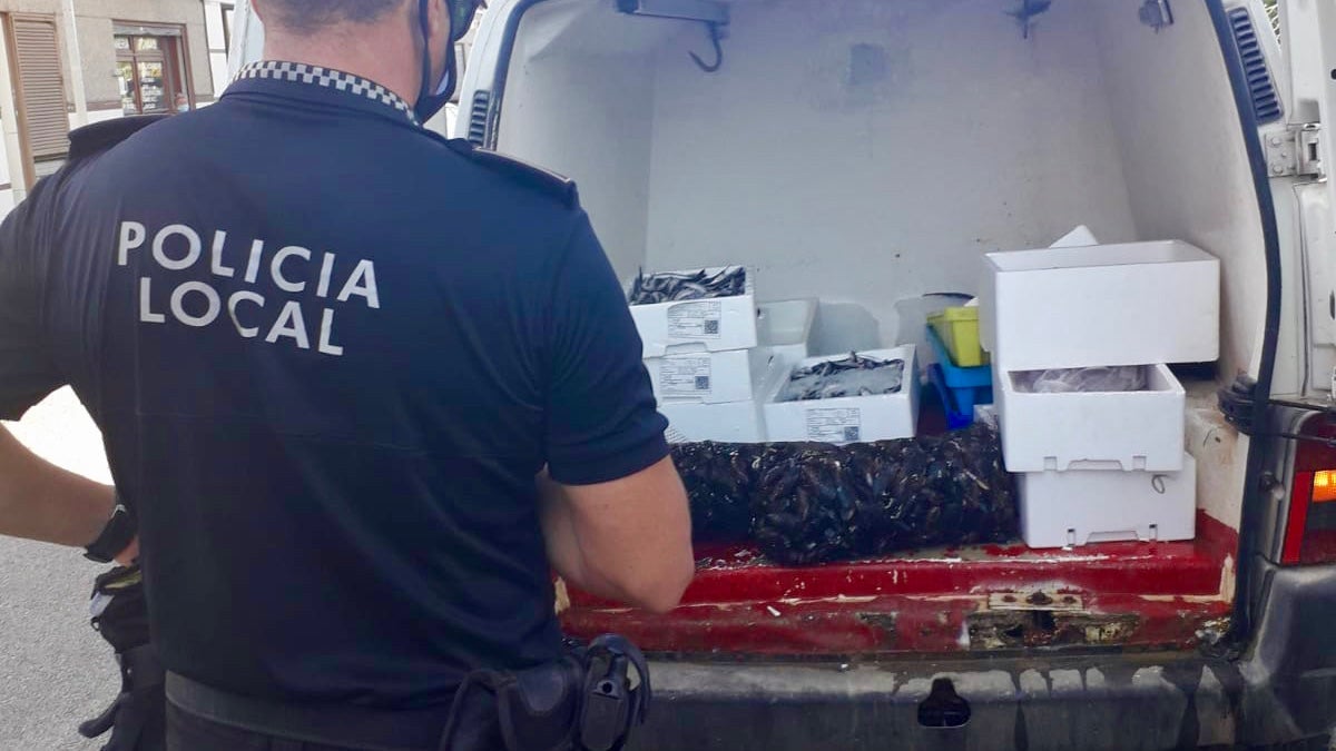 La Policía Local de Elche interviene pescado distribuido sin cumplir las condiciones higiénico-sanitarias La Policía Local de Elche interviene pescado distribuido sin cumplir las condiciones higiénico-sanitarias