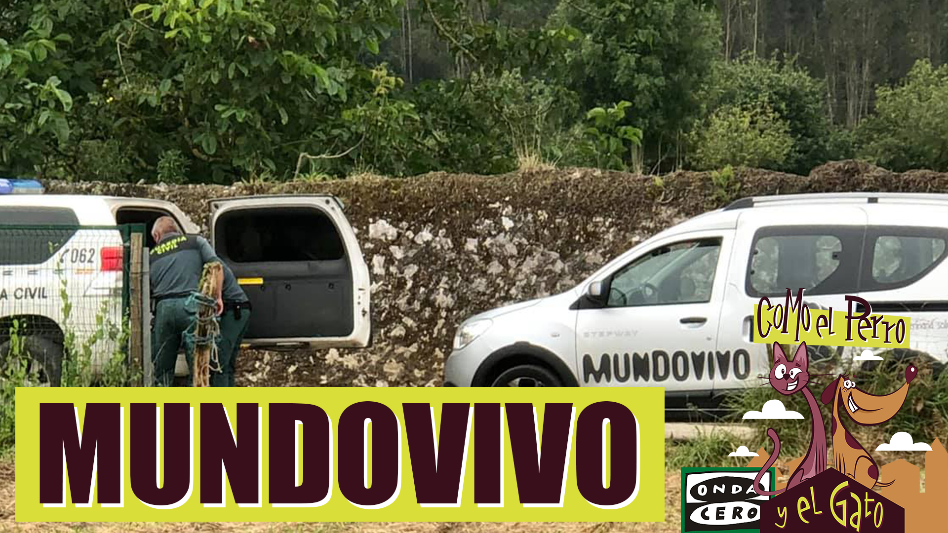 El SEPRONA interviene dos fincas con decenas de cabras y ovejas muertas en Llanes El SEPRONA interviene dos fincas con decenas de cabras y ovejas muertas en Llanes