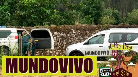 Incautaci&oacute;n de dos fincas con decenas de ovejas y cabras muertas